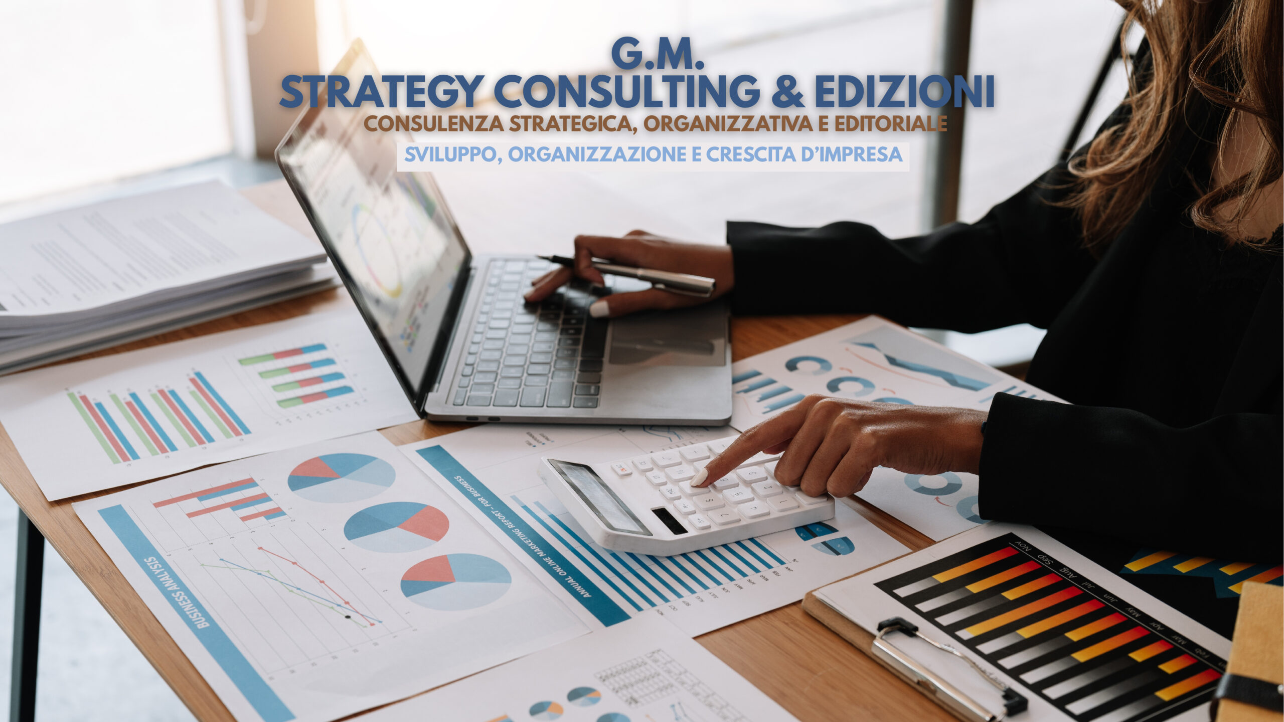 immagine sito gm strategy consulting edizioni